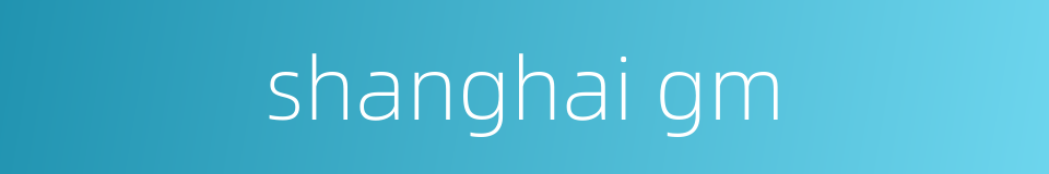shanghai gm的同义词