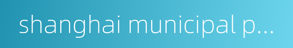 shanghai municipal public security bureau的同义词