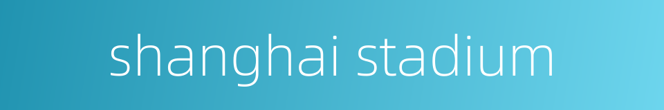 shanghai stadium的同义词