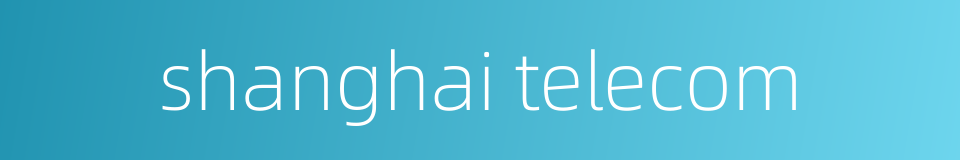 shanghai telecom的同义词