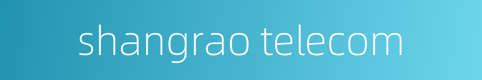 shangrao telecom的同义词