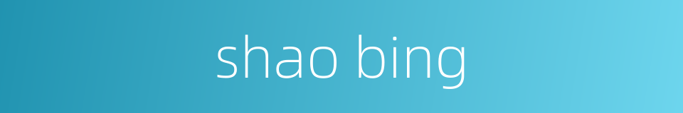 shao bing的同义词