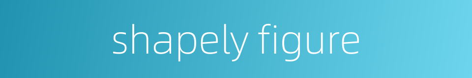 shapely figure的同义词