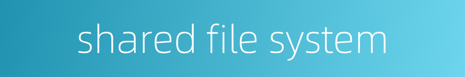 shared file system的同义词
