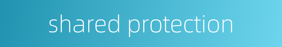 shared protection的同义词