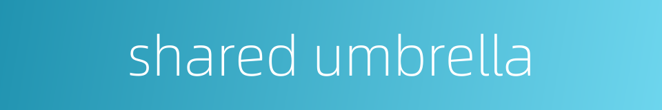 shared umbrella的同义词