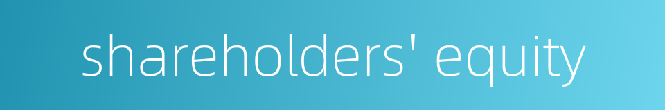 shareholders' equity的同义词