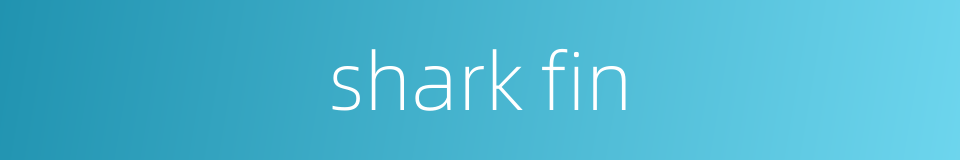 shark fin的同义词
