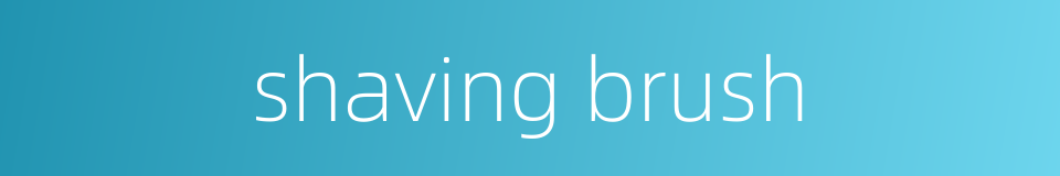 shaving brush的同义词