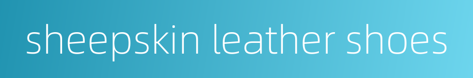 sheepskin leather shoes的同义词