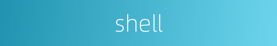 shell的同义词