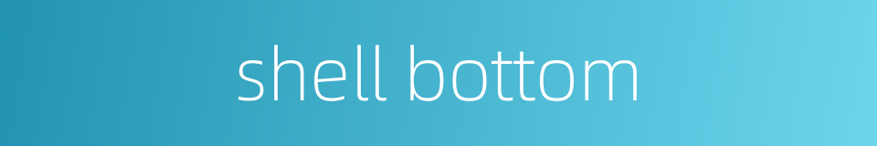 shell bottom的同义词