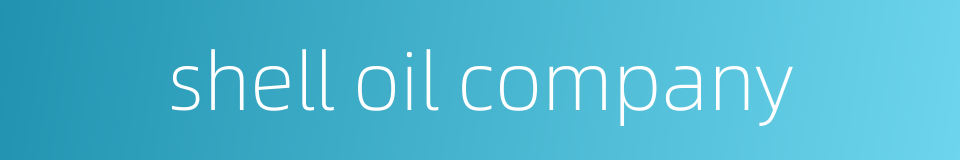 shell oil company的同义词