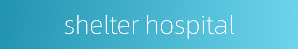 shelter hospital的同义词