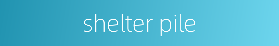 shelter pile的同义词