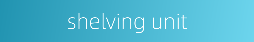 shelving unit的同义词