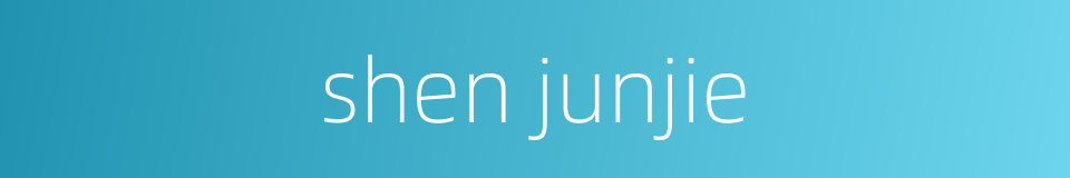 shen junjie的同义词