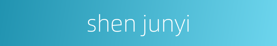 shen junyi的同义词