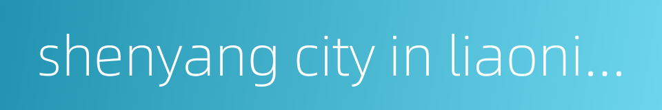 shenyang city in liaoning province的同义词