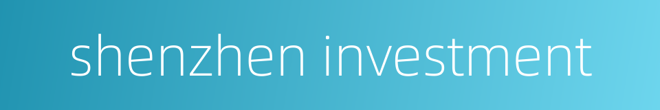shenzhen investment的同义词