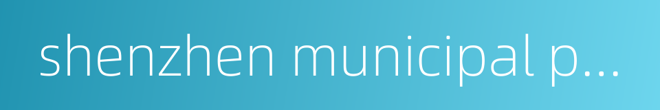 shenzhen municipal public security bureau的同义词