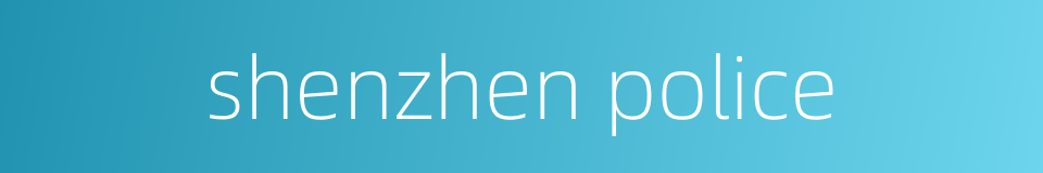 shenzhen police的同义词