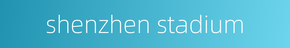 shenzhen stadium的同义词