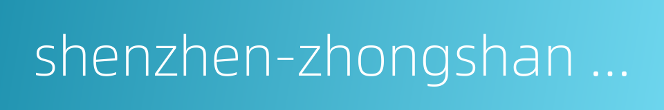 shenzhen-zhongshan bridge的同义词
