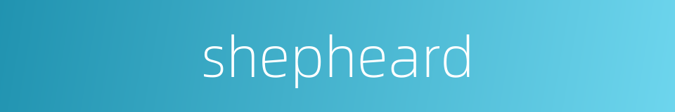 shepheard的同义词