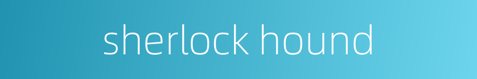 sherlock hound的同义词