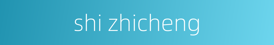 shi zhicheng的同义词