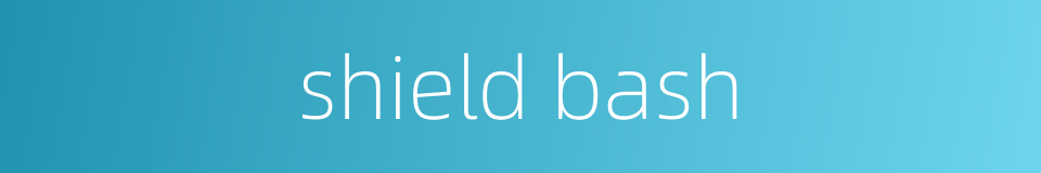 shield bash的同义词