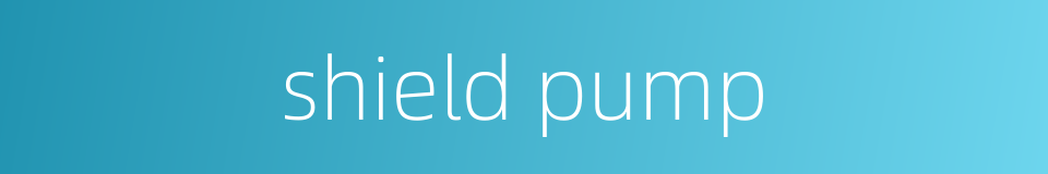 shield pump的同义词