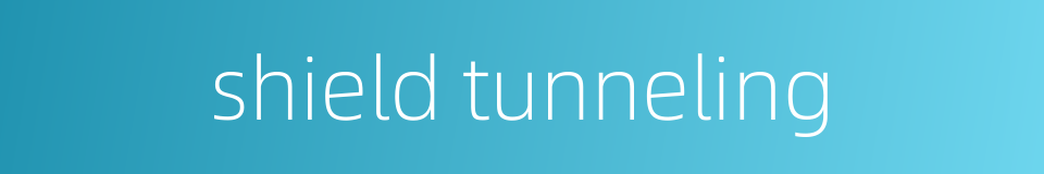 shield tunneling的同义词