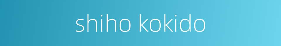 shiho kokido的同义词