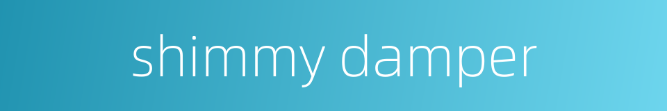 shimmy damper的同义词