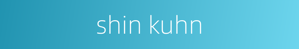 shin kuhn的同义词