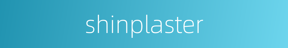 shinplaster的同义词