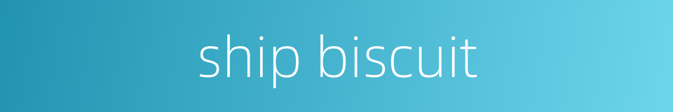ship biscuit的同义词