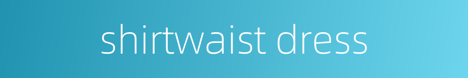 shirtwaist dress的同义词