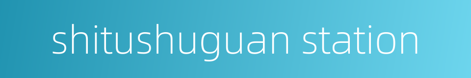 shitushuguan station的同义词