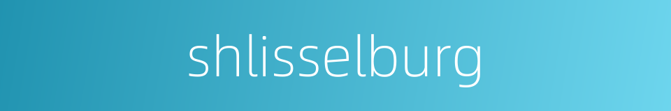 shlisselburg的同义词