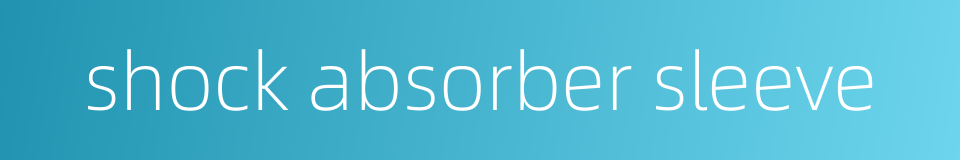 shock absorber sleeve的同义词