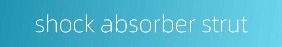 shock absorber strut的同义词