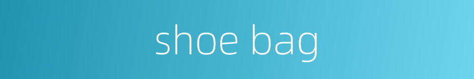 shoe bag的同义词