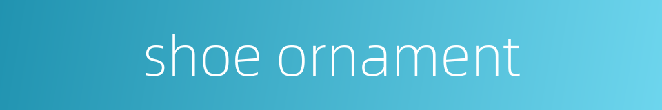 shoe ornament的同义词