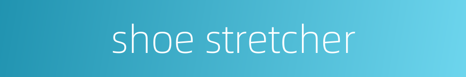 shoe stretcher的同义词