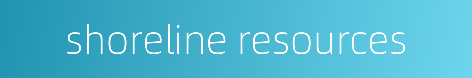 shoreline resources的同义词