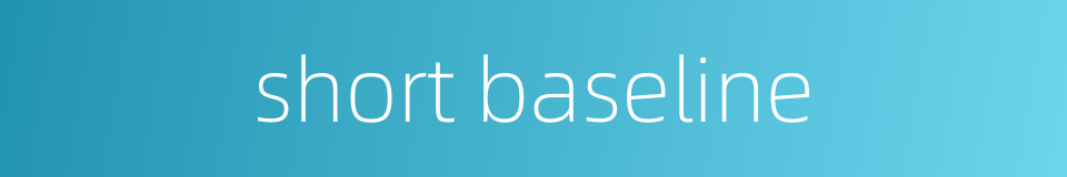 short baseline的同义词
