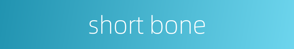 short bone的同义词